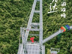 -呀诺达热带雨林