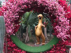 -呀路古热带植物园