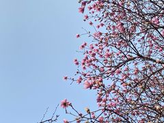 -重庆彩云湖湿地公园