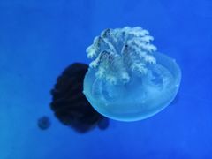 -石林冰雪海洋世界