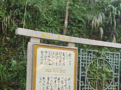 -神光山国家森林公园