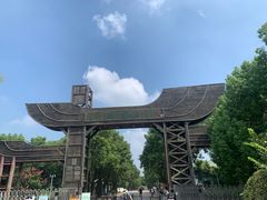 -溱湖国家湿地公园