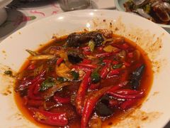 -院8里·小聚园老川菜(九眼桥店)