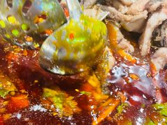 -肖肖酸萝卜鱼火锅(总店)