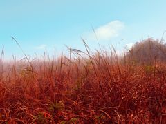 -东白山