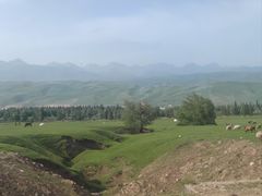 -新疆那拉提国家旅游度假区