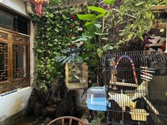 -丽江庭院·云南野生菌·海鲜火锅(鼓楼四合院店)