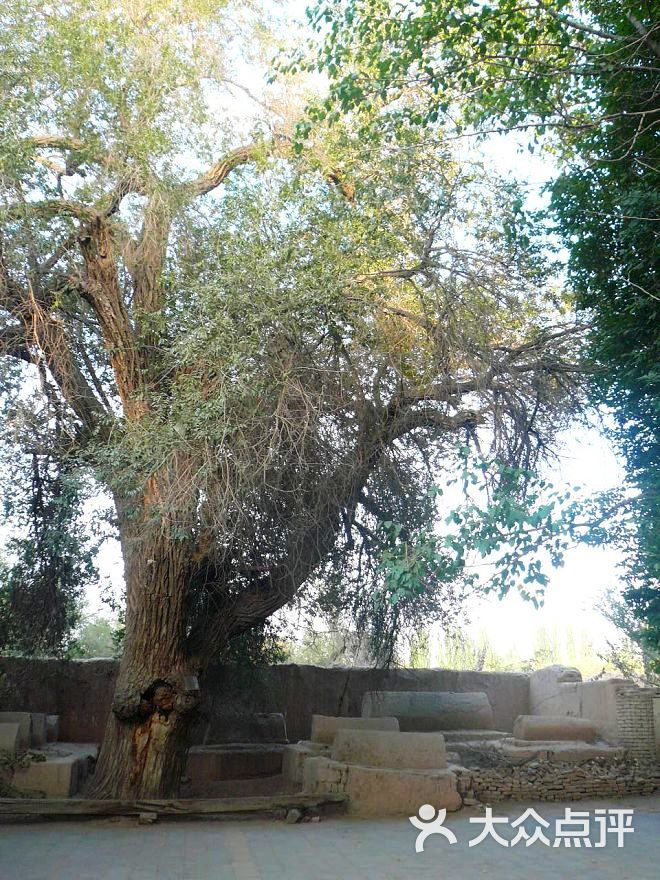 默拉纳额什丁麻扎图片 - 第7张