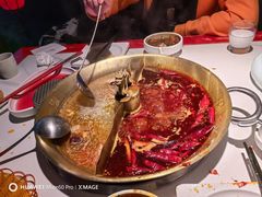 -小龙翻大江文化火锅(宽窄店)