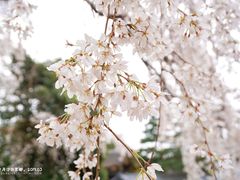-京都御所