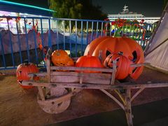 -青岛方特梦幻王国