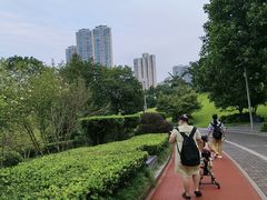 -龙头寺公园