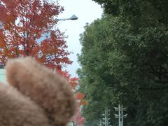 -85度C(苏州石路店)