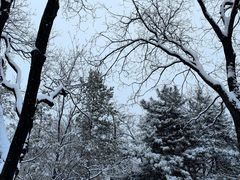 -森林公园(尖草坪区)