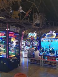 -卡通尼·Safari非洲探索乐园·生日会(金桥国际商业广场店)