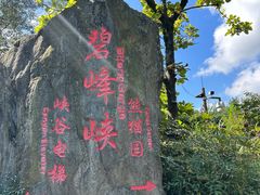 -碧峰峡风景区