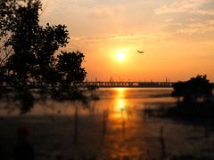 -宝安西湾红树林湿地公园