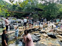 -石台牯牛降景区