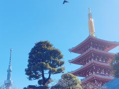 -浅草寺