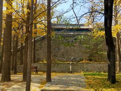 -阳台山自然风景区