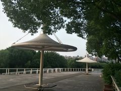 -新江湾城公园