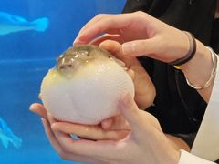 -肆月河豚·淮扬菜·湘菜(华天店)