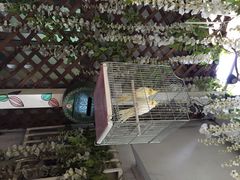 iphone_upload_pic-燕庭·纯燕窝·甜品下午茶(南京西路店)