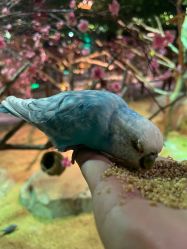 -酷嗒动物文化乐园(cutezoo西溪乐天城店)