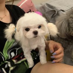 -隅日式美甲美睫專門店