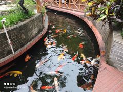 -侠成水上农庄(工业大道店)