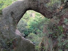 -六里坪国家森林公园