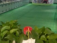-威尔仕健身(金茂店)
