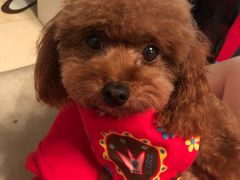 -喵汪宠物生活馆(涞坊路店)