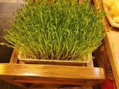 -蜀大侠火锅(四川北路店)