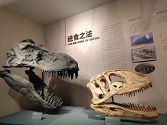 -自贡恐龙博物馆