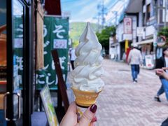 -轻井泽王子购物广场