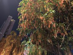 -文华公园(禅城区)