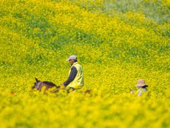 -扁都口生态休闲旅游区