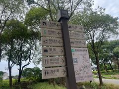 -莲花岛景区