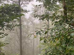 -莫干山风景区
