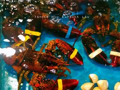 波士顿龙虾-清水湾3号(东方小周海鲜店)