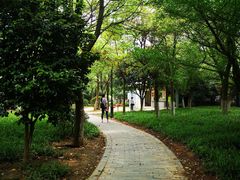 -燕鸣岛