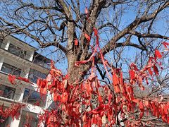 -栾川竹海野生动物园