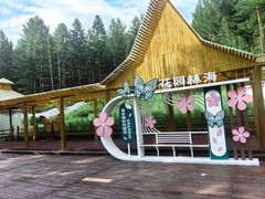 -莫尔道嘎国家森林公园