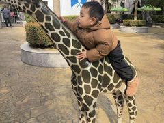 -南京银杏湖乐园