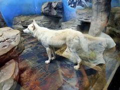 -梦幻海洋王国(吾悦广场张家港店)