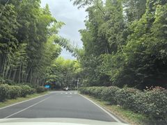 -池州市平天湖风景区