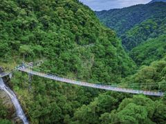 -九龙江国家森林公园