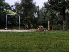 -大同方特欢乐世界