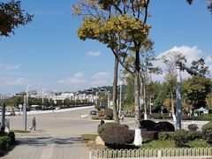-洛龙公园